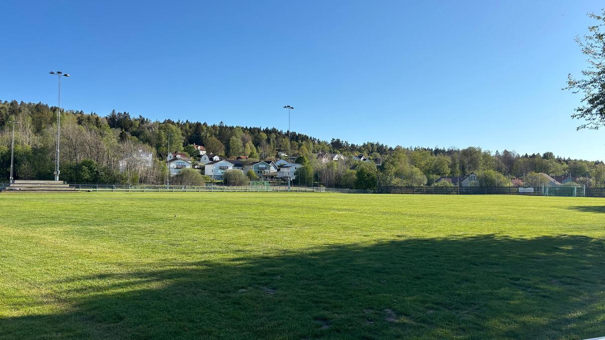 En grön fotbollsplan under blå himmel.