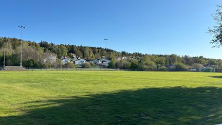 En grön fotbollsplan under blå himmel.