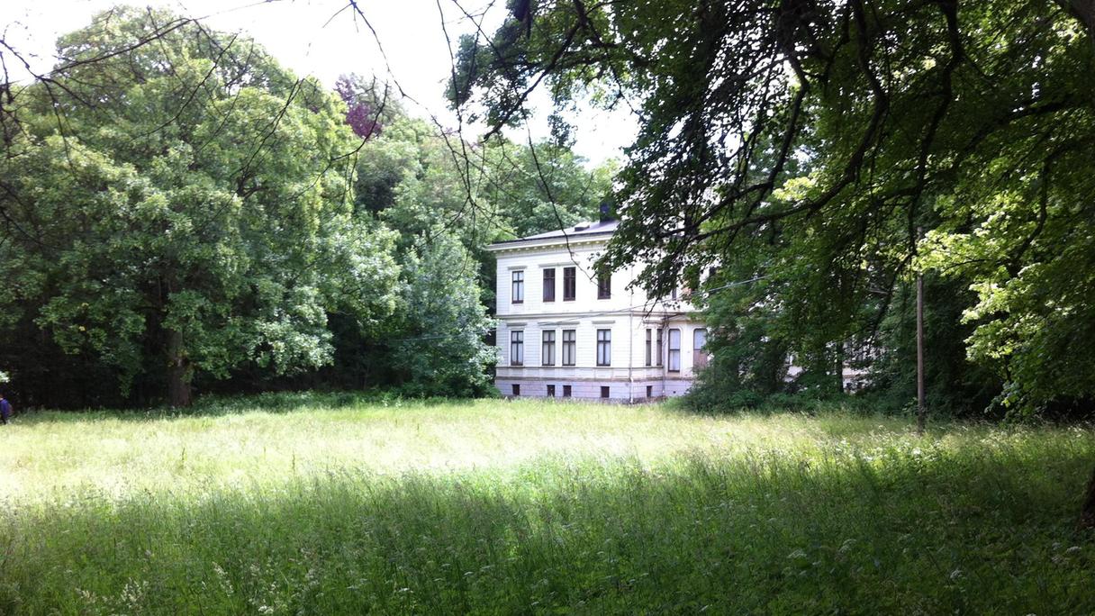 Yta av högt gräs med hög träd runtomkring ett hus.