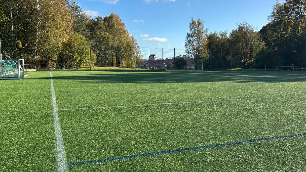 En grön fotbollsplan under blå himmel.
