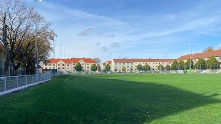 En grön fotbollsplan med byggnader i bakgrunden.