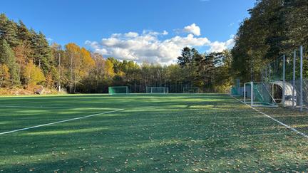 Grön bollplan med höstlöv