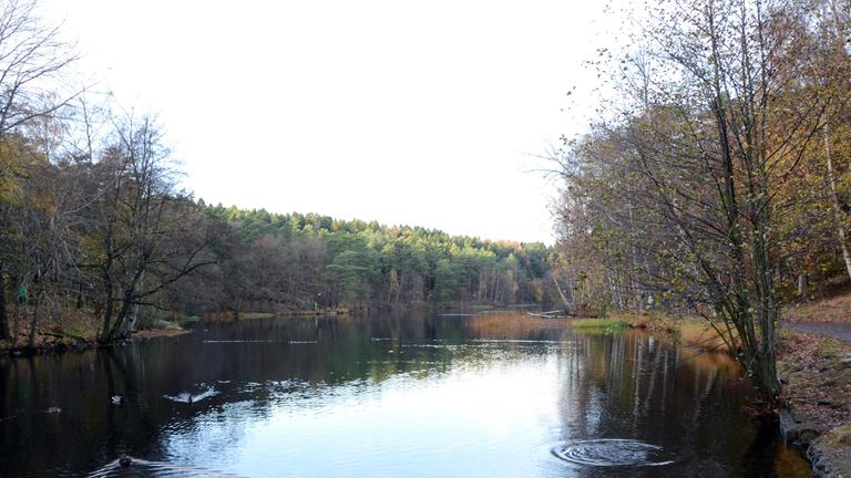 Stor sjö med stort skogsområde runt om.
