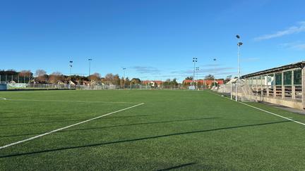 Grön bollplan under blå himmel