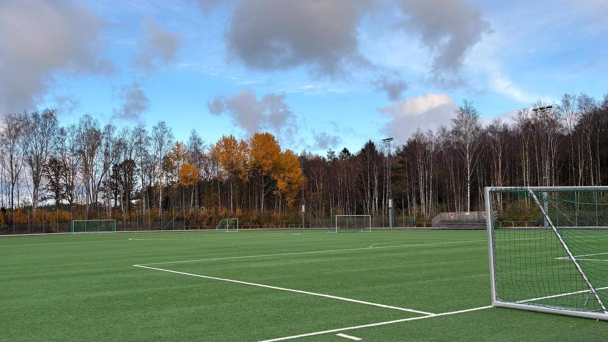 Grön bollplan, i bakgrunden träd i höstfärger