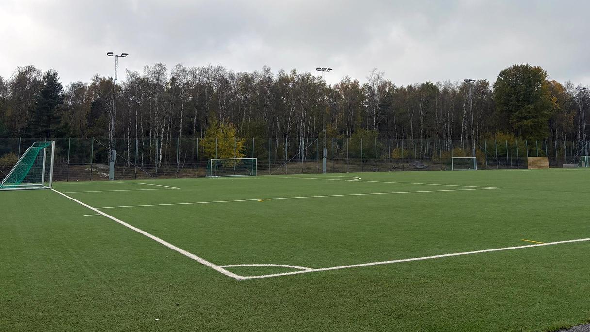 En grön fotbollsplan under grå himmel.