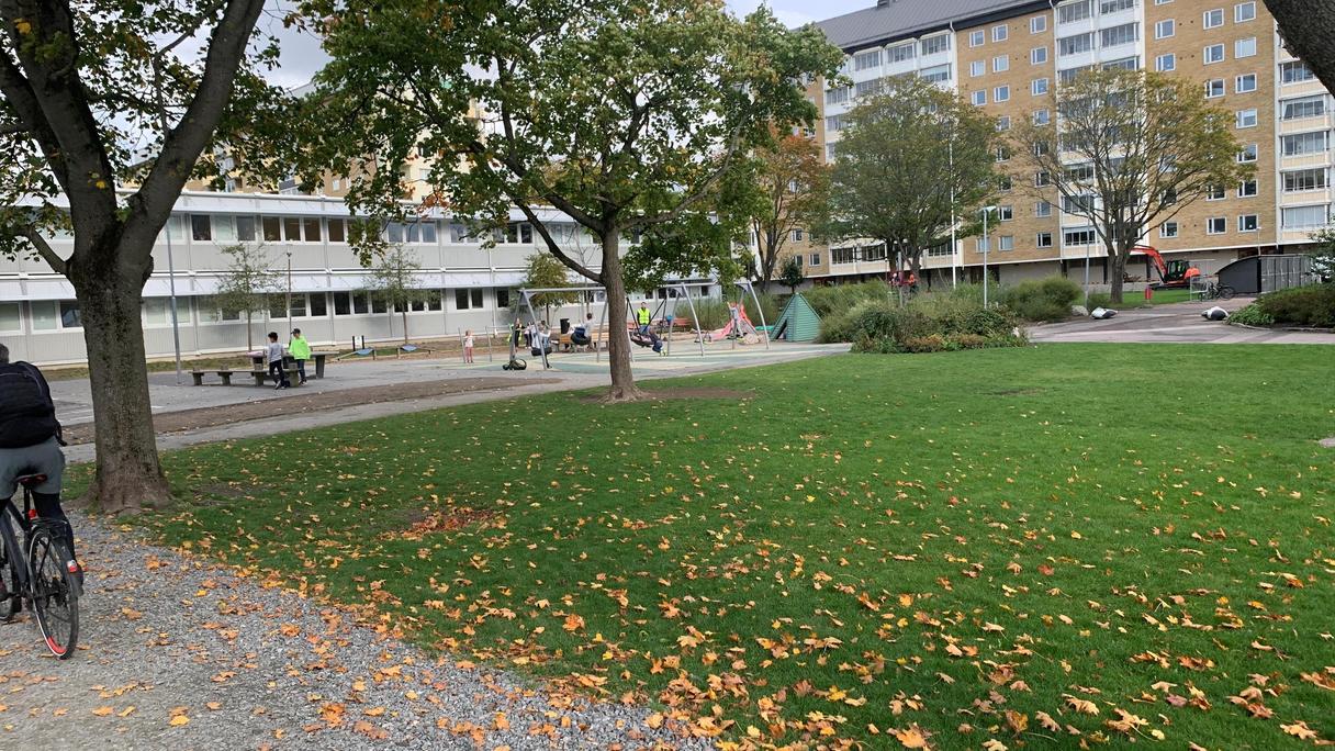 Lekplatsen ligger vid bostadshus med träd som ger skugga och gräsmattor runt om