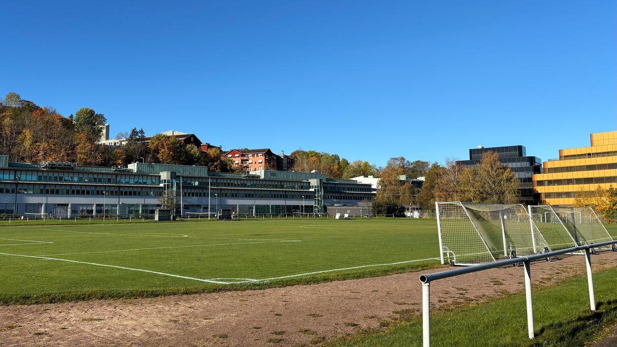 Grön bollplan med ett mål på och byggnader i bakgrunden