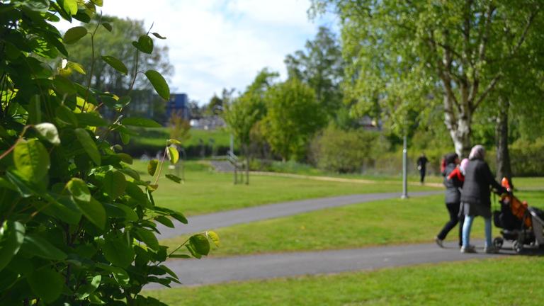 Grönområde med asfalterade stigar.