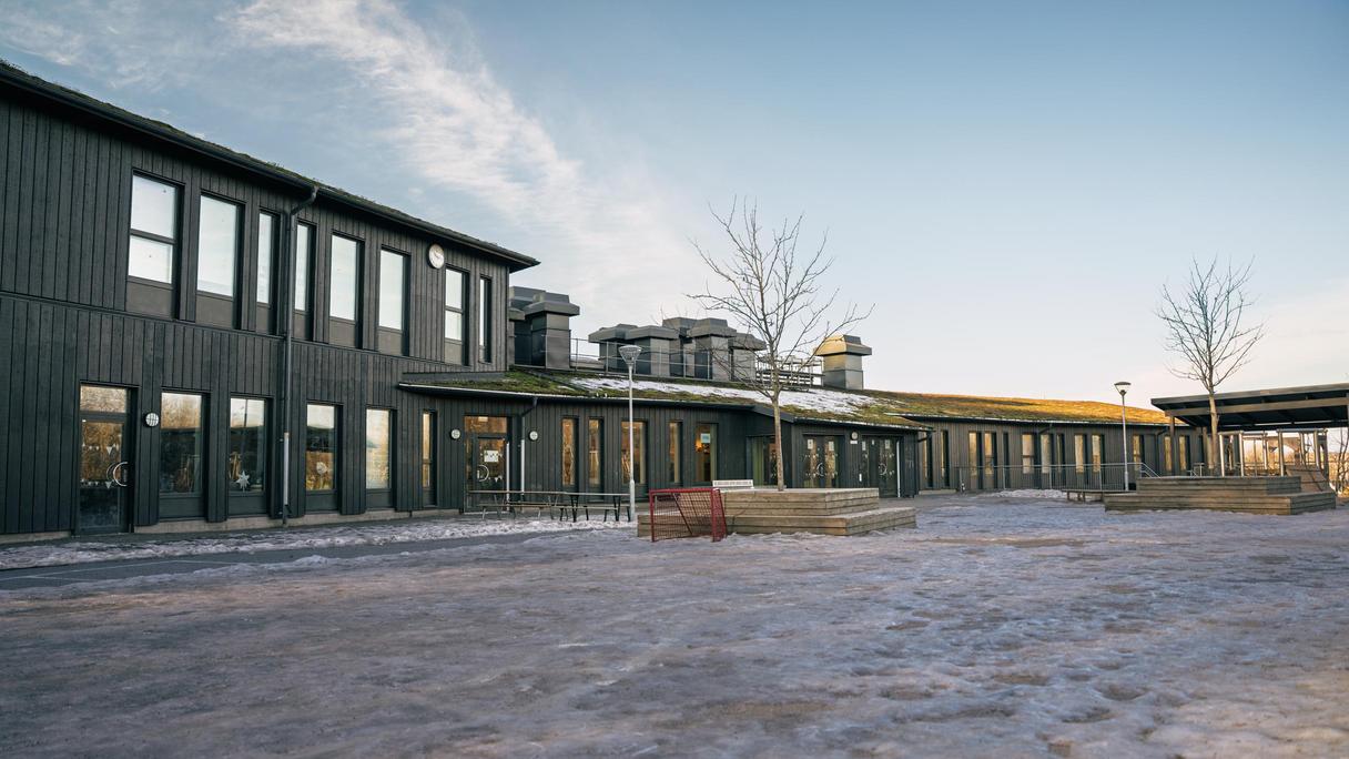 Skogomeskolan med en bänk och ett innebandymål i bakgrunden.