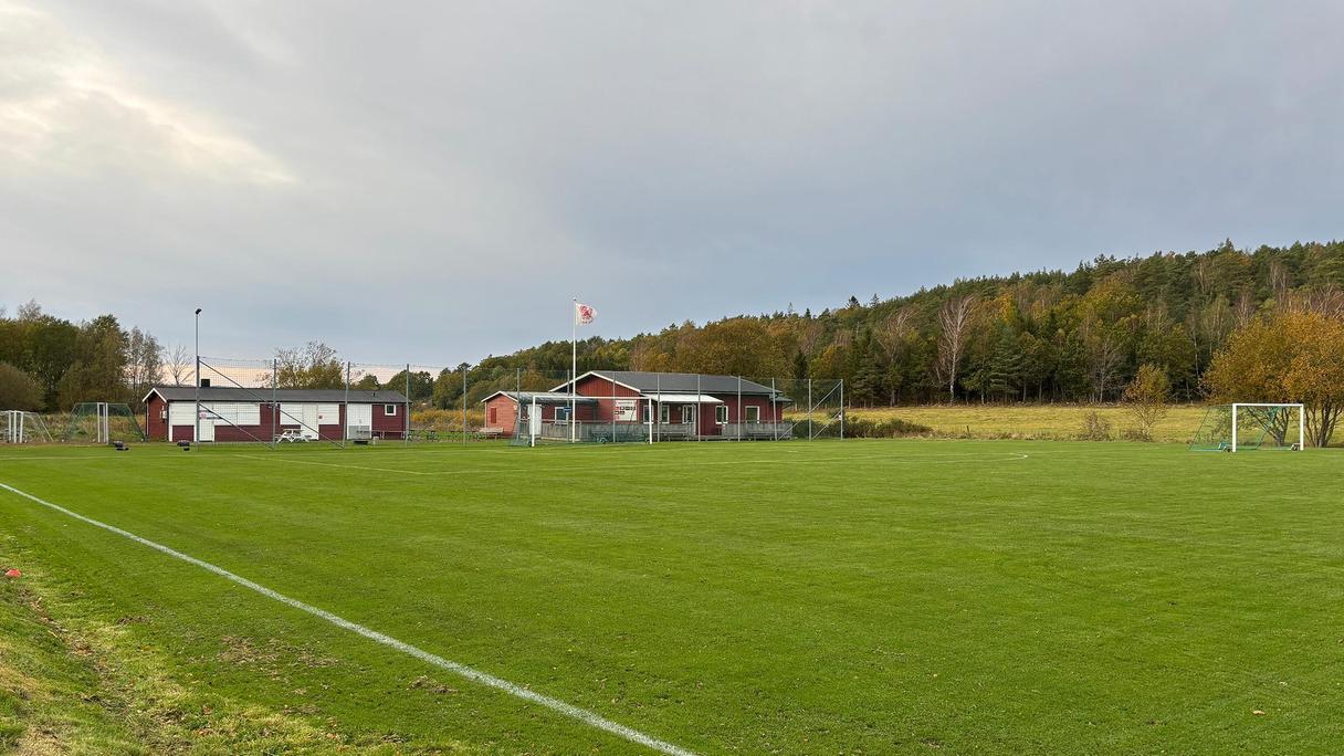 En grön fotbollsplan med byggnader i bakgrunden.