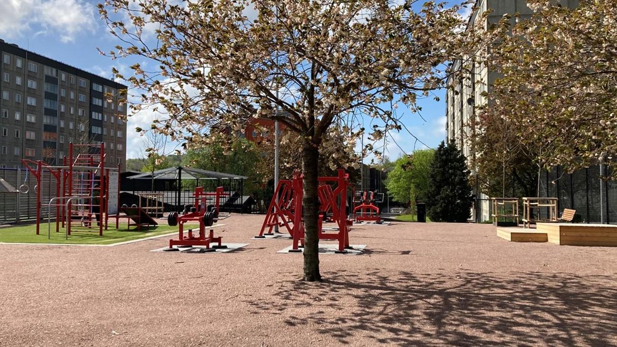 Utegym med många olika maskiner med ett underlag av grus och konstgräs