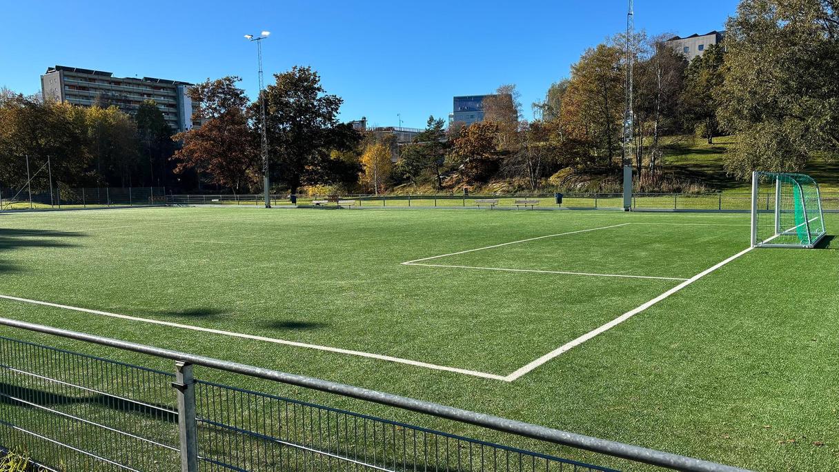 En grön fotbollsplan under blå himmel.