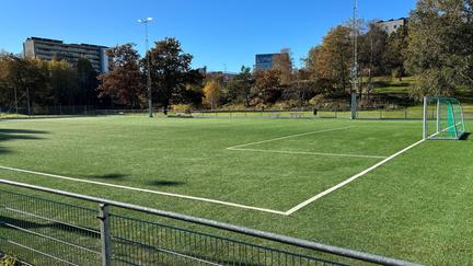 En grön fotbollsplan under blå himmel.