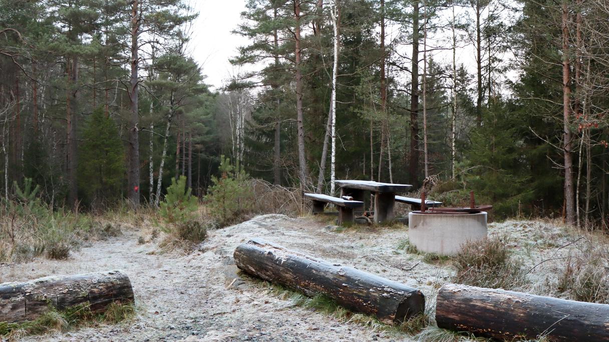 Rastplats med grill