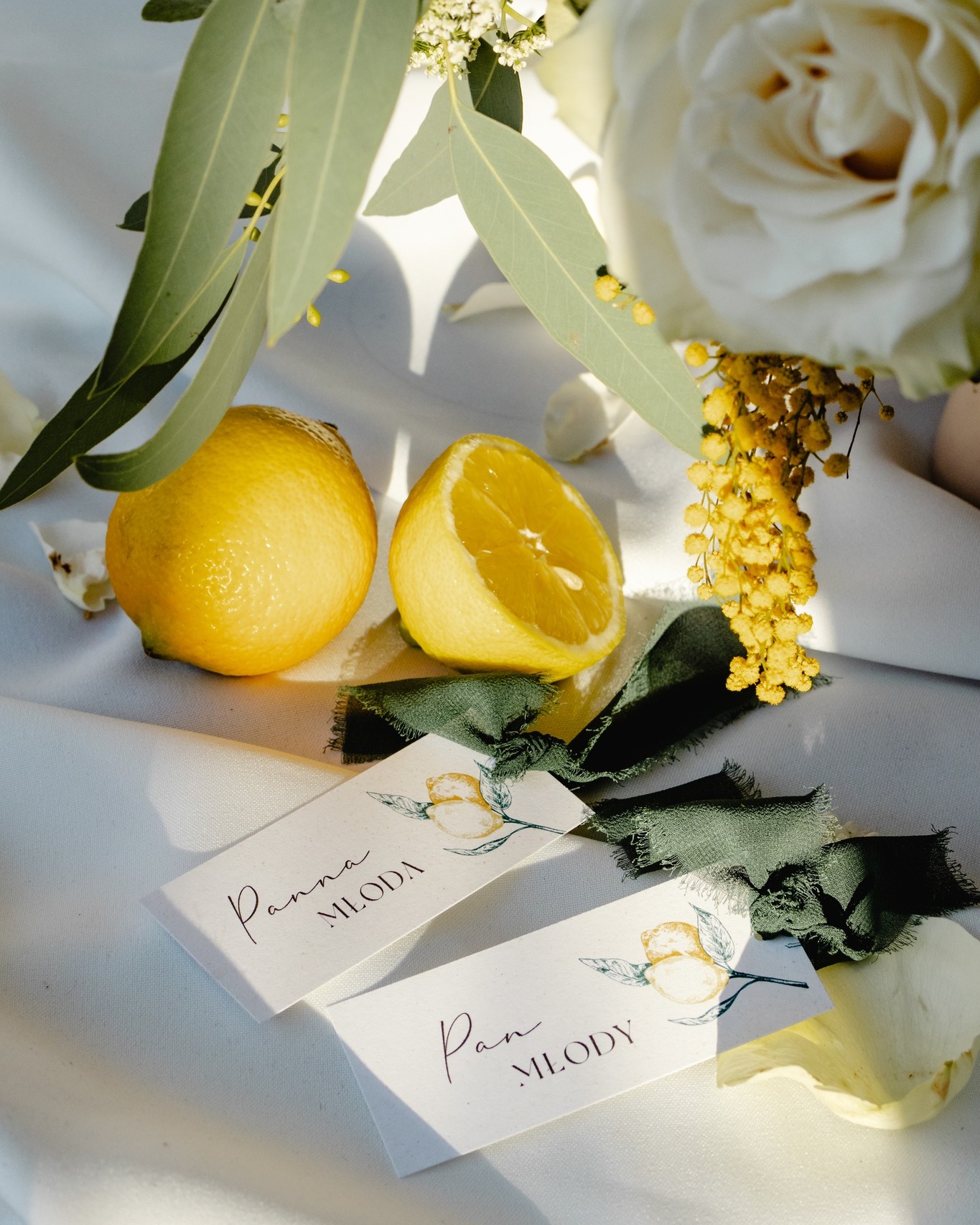  OTAVA weddings