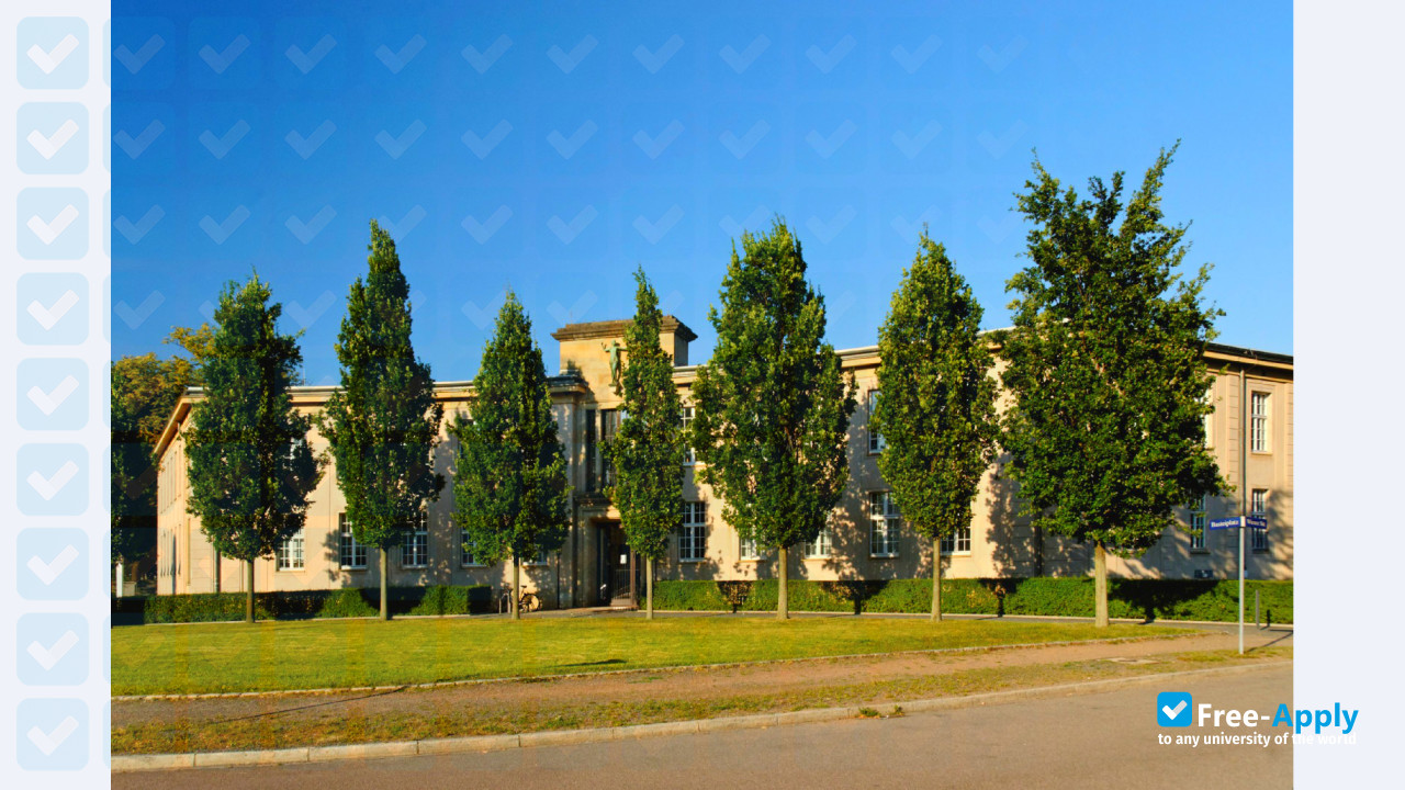 Palucca University Of Dance Dresden Free Apply Com