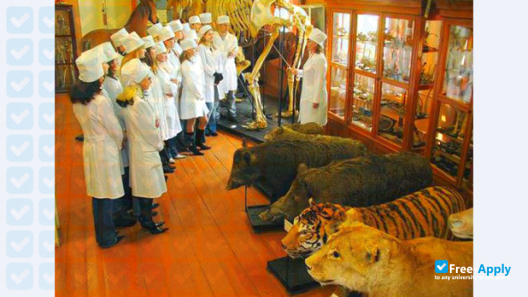Saint Petersburg State Academy Of Veterinary Medicine Free Apply Com
