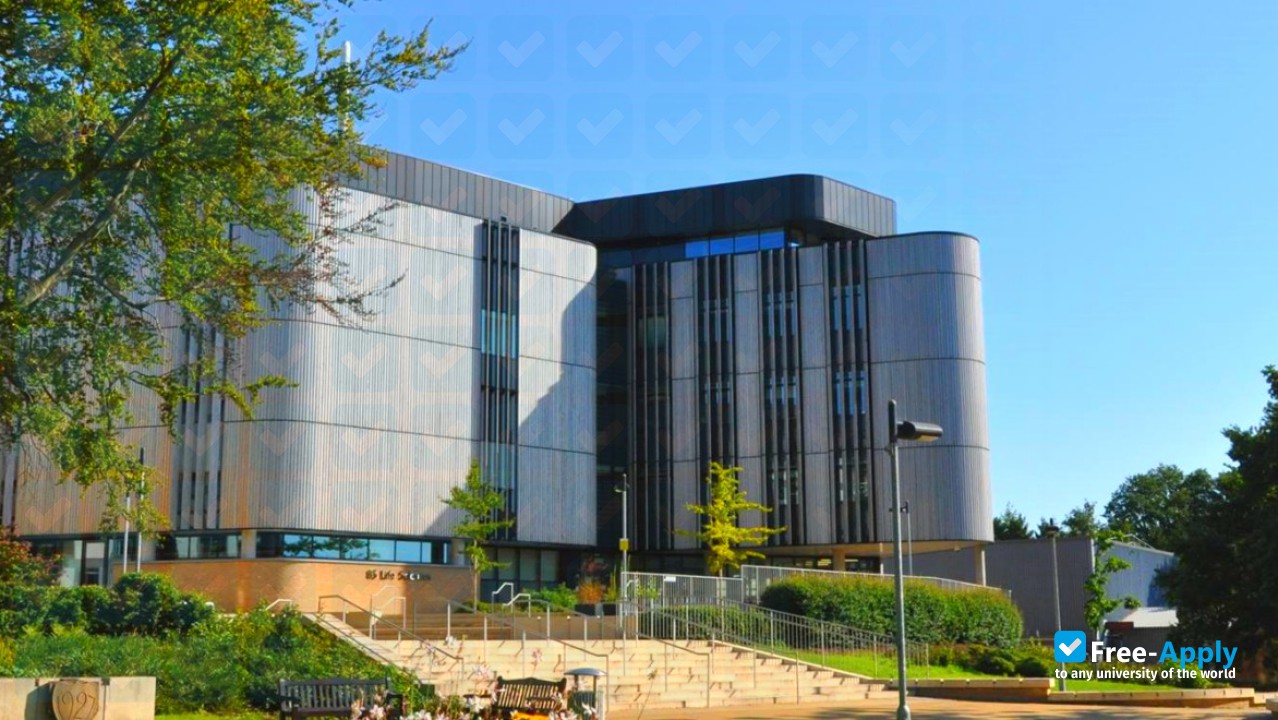 University Of Southampton Free Apply Com