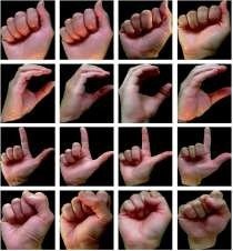 Graphical abstract: Empowering Communication: A Web Application for Deaf, Mute, and Sign Language Interpretation