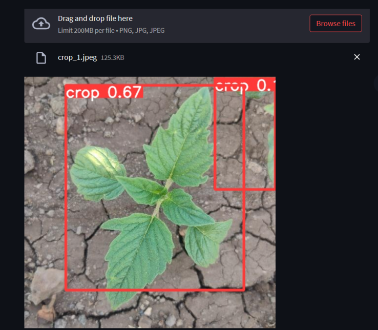 Weed Detection In Paddy Fields Using Neural Network