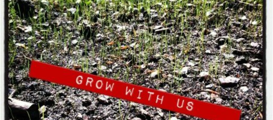 Grow with us