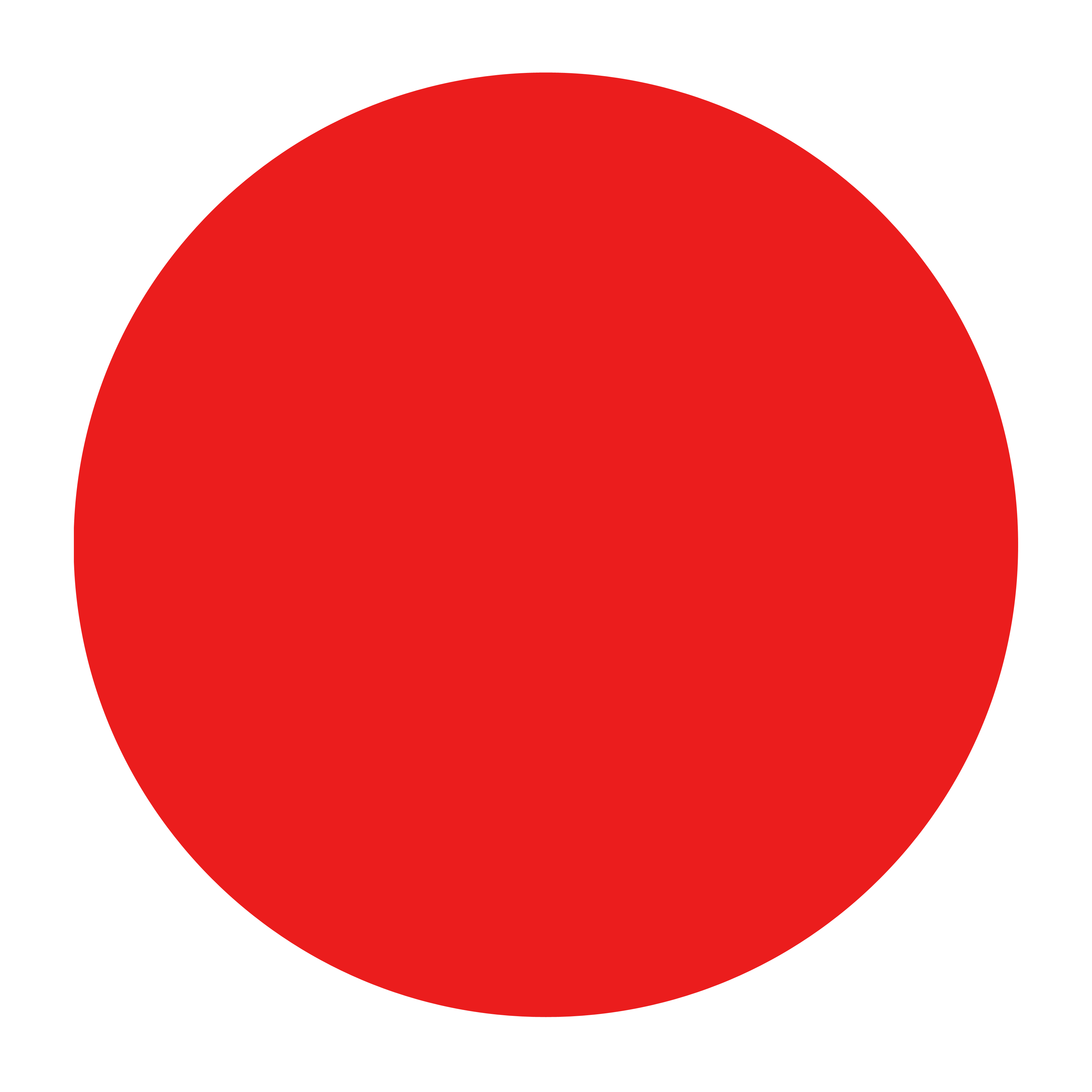 6 Digitalt bibliotek