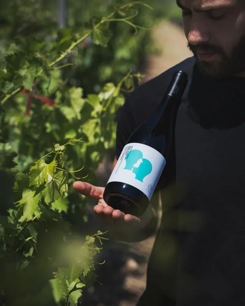 Ktima Akrani Winery - Image 1