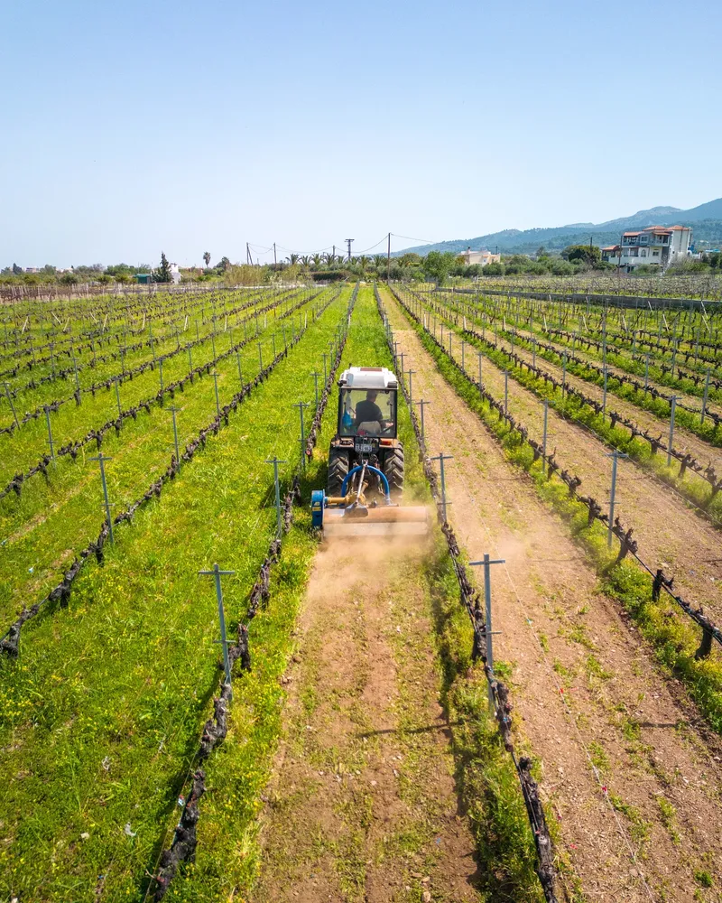 Ktima Akrani Winery - Image 2