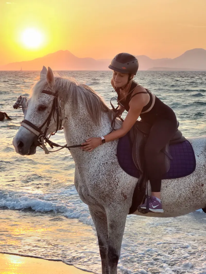 ERIKAS HORSE FARM