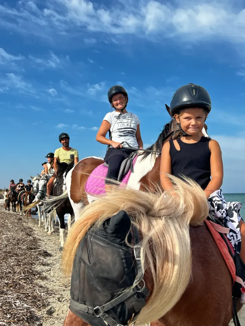 ERIKAS HORSE FARM - Image 2
