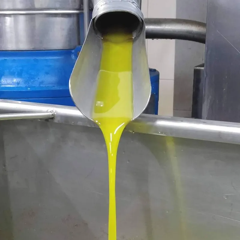 Kos Olive Oil Factory - Papadimitriou - Image 2