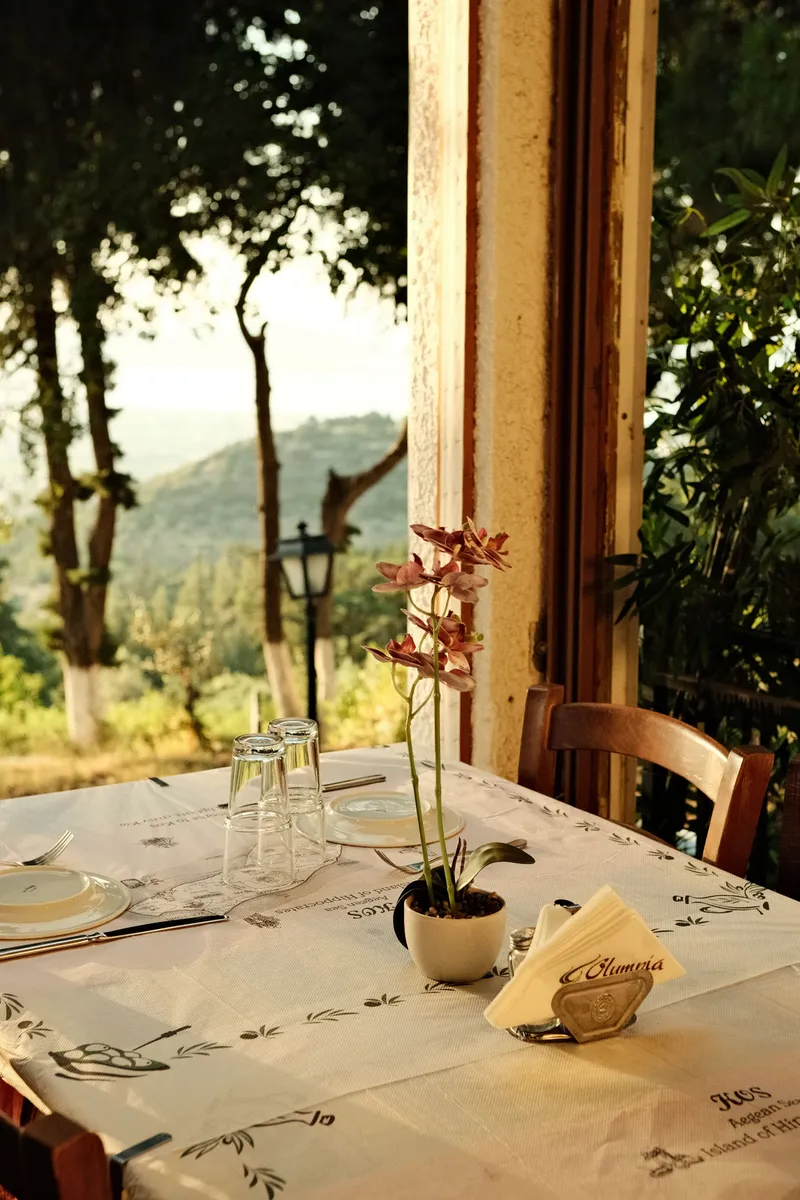 Olympia Restaurant - Image 2