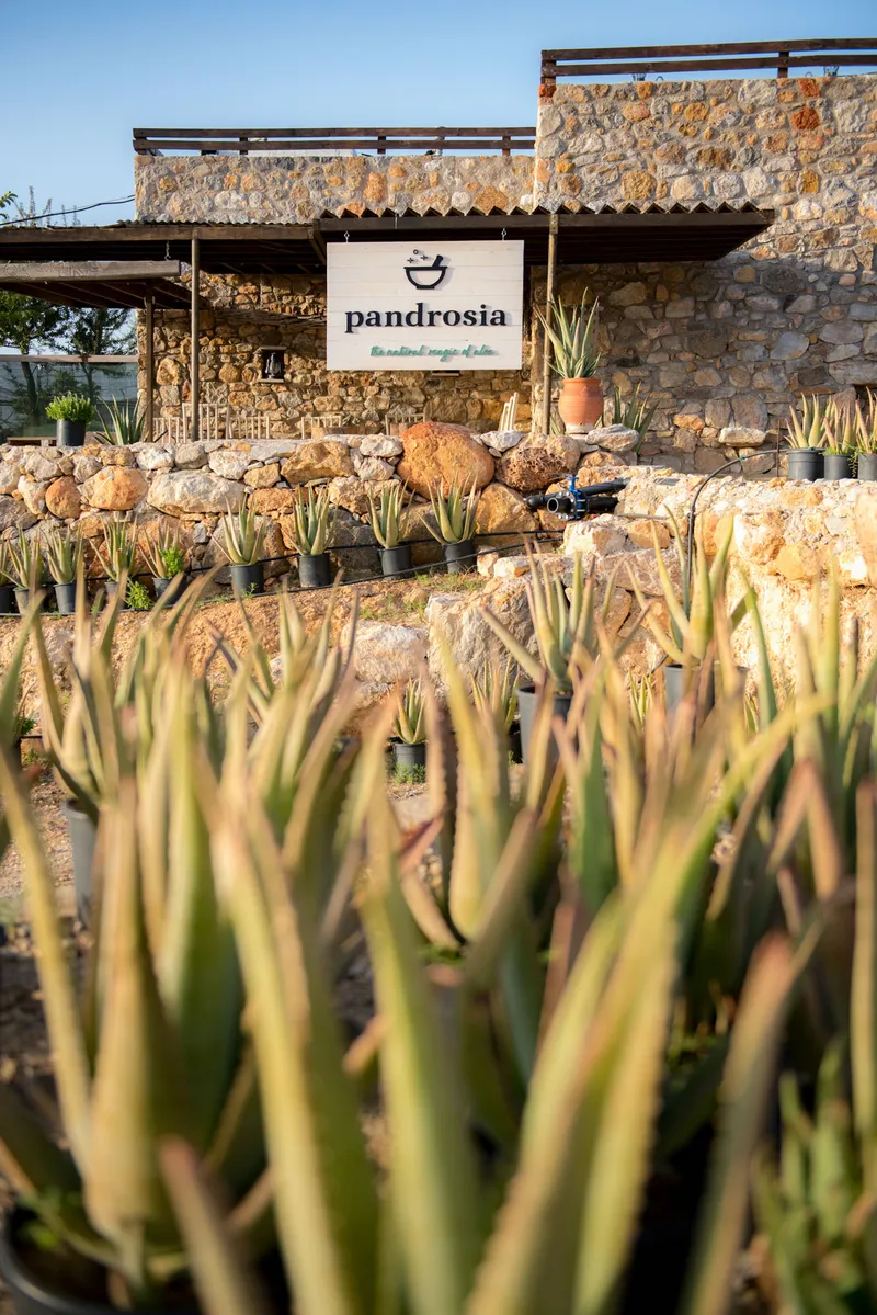 Pandrosia Farms - Image 3
