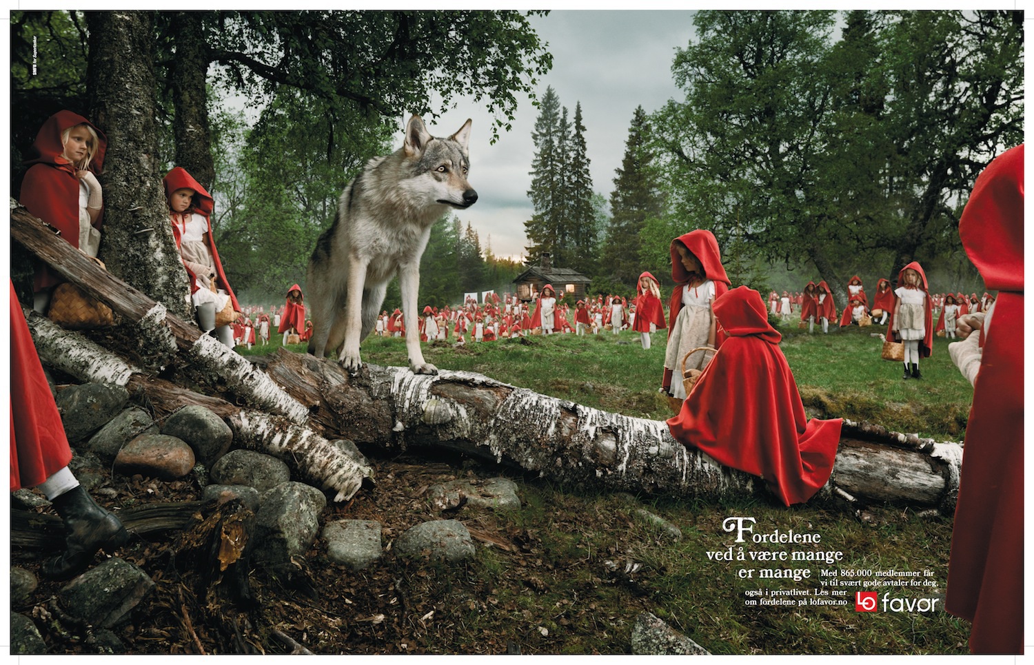 Fordelen Ved A Vaere Mange Kreativt Forum