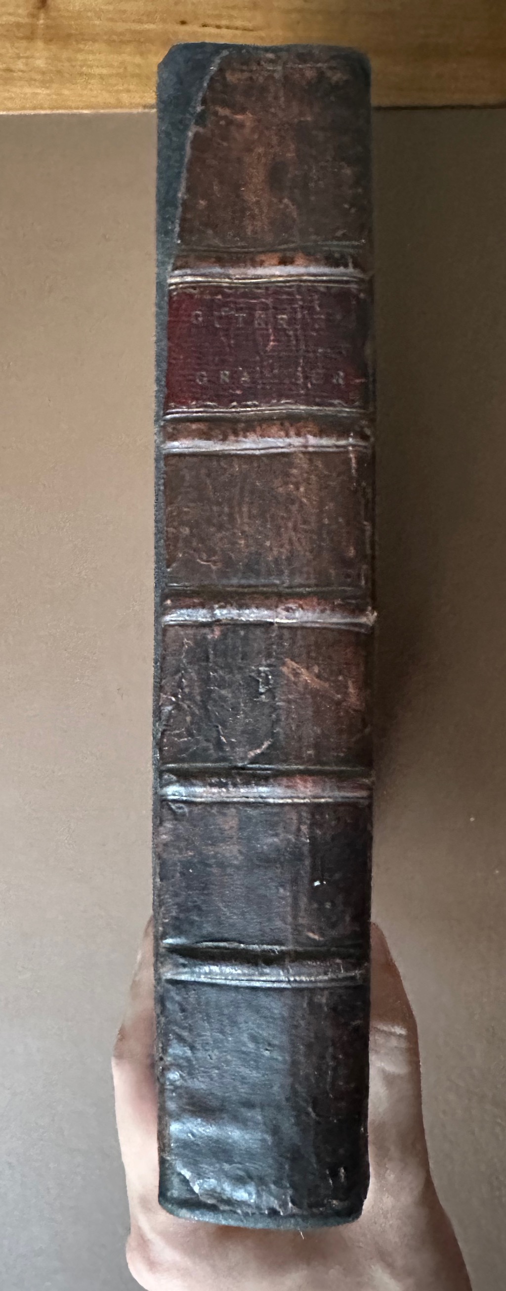 A New System of Modern Geography