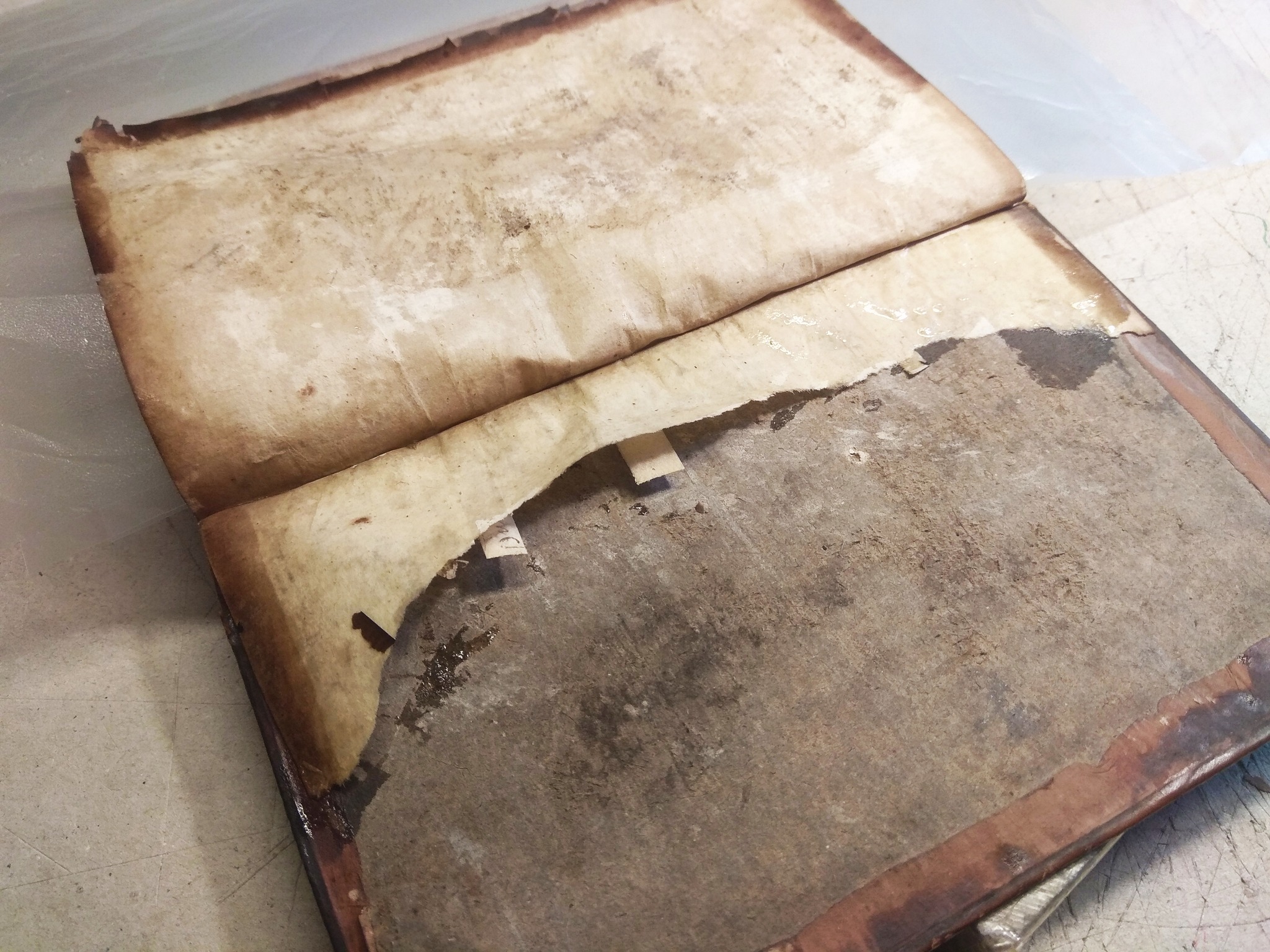 Sermons Preach'd Upon Several Occasions