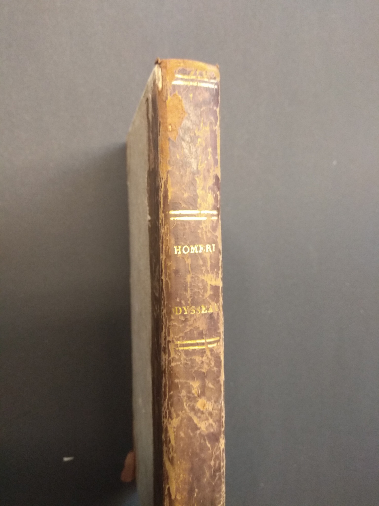 Homeri Odyssae Rhapsodiae Sex