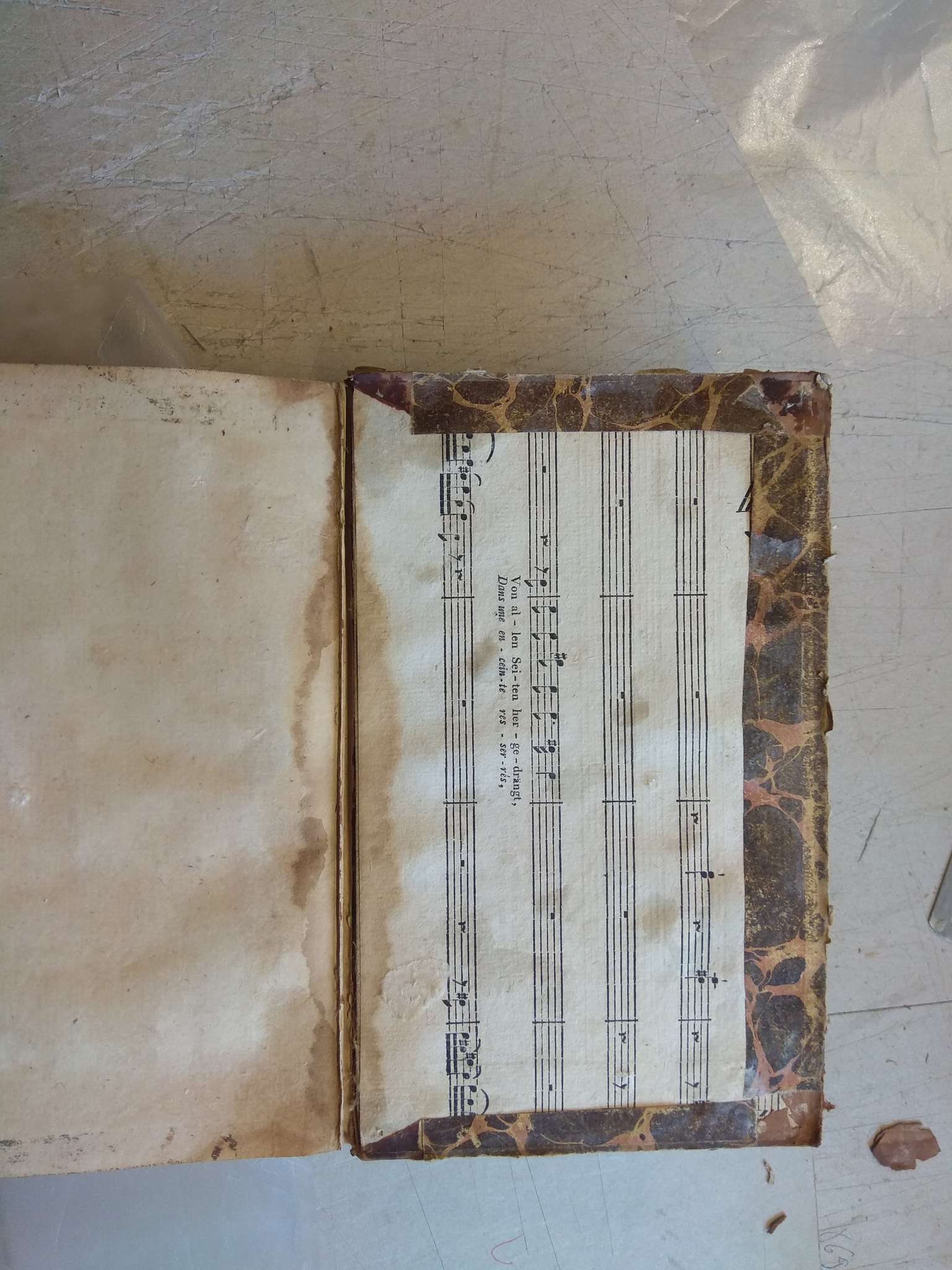 Homeri Odyssae Rhapsodiae Sex