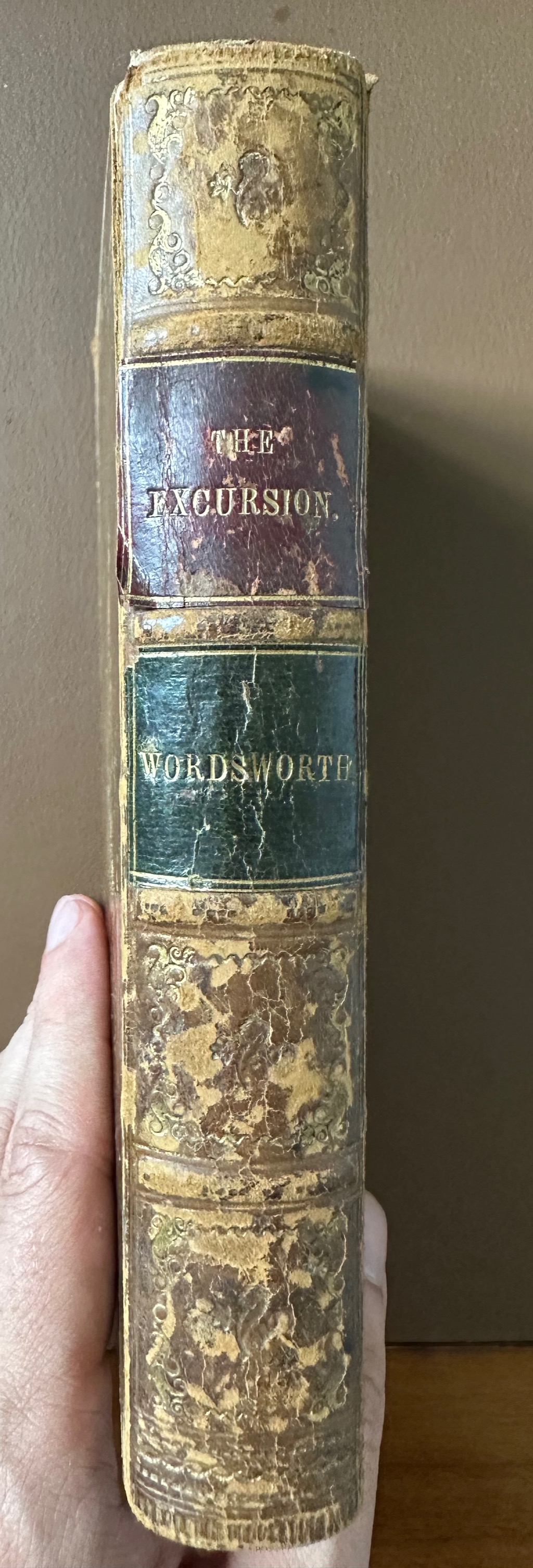 The Excursion. A Poem.