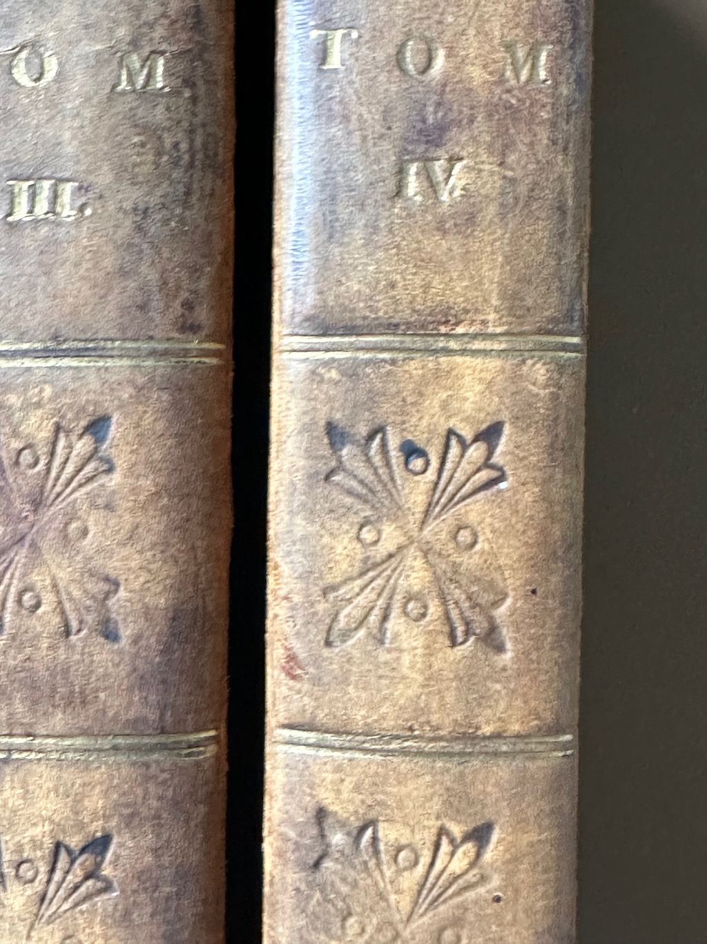 Histoire Naturelle des Coquilles