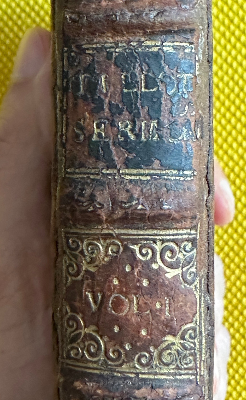 Sermons Preach'd Upon Several Occasions