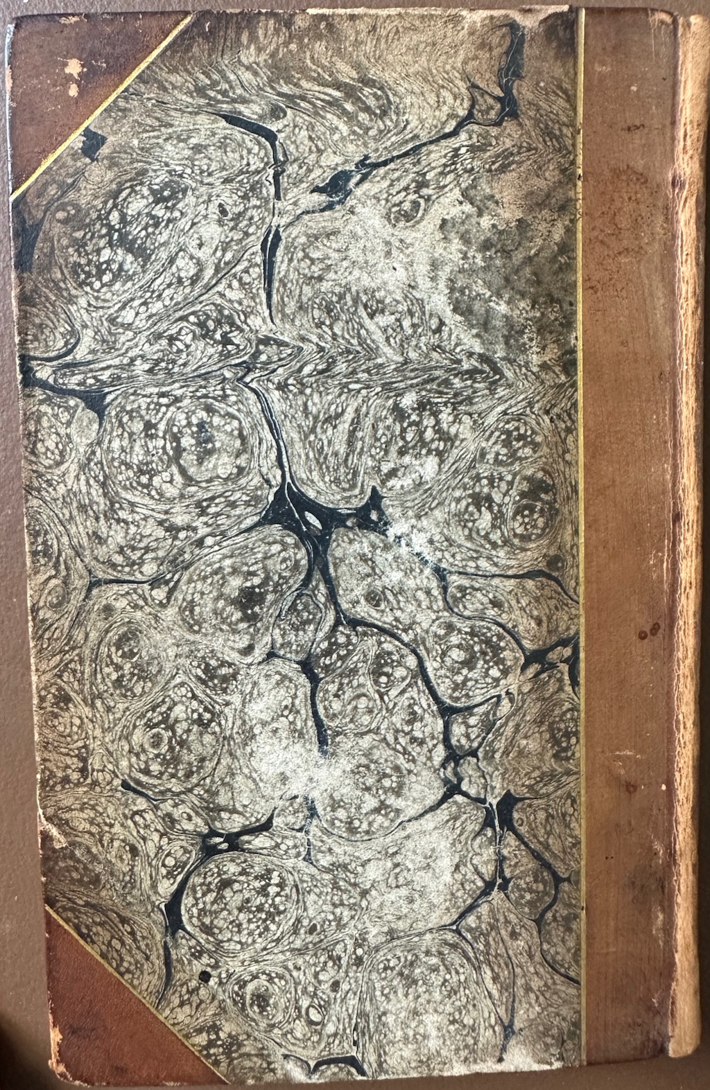 Histoire Naturelle des Coquilles