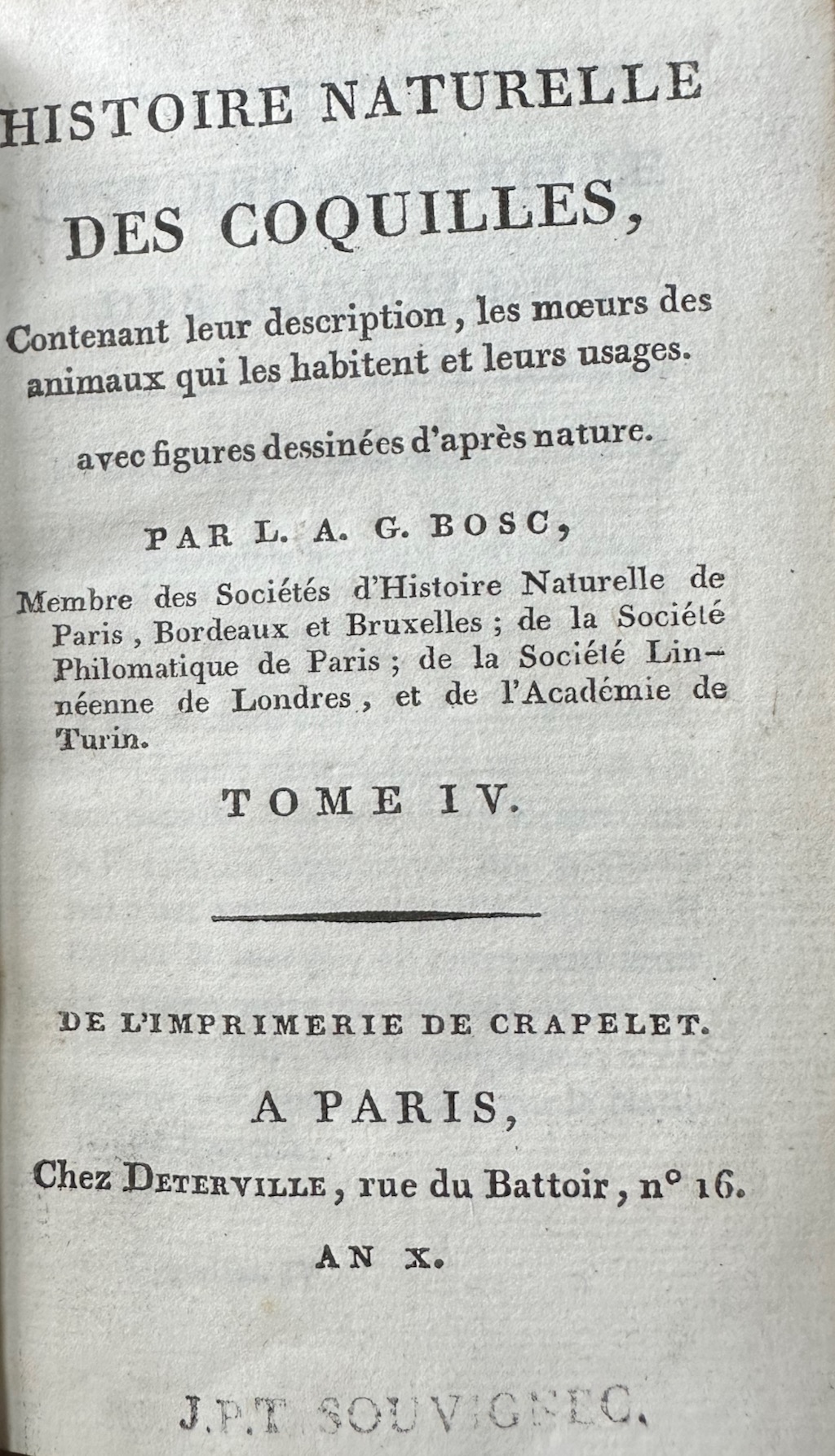 Histoire Naturelle des Coquilles