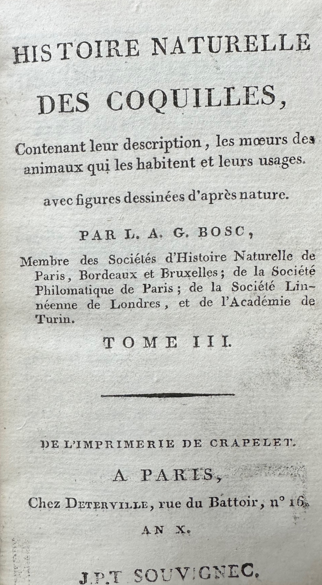 Histoire Naturelle des Coquilles