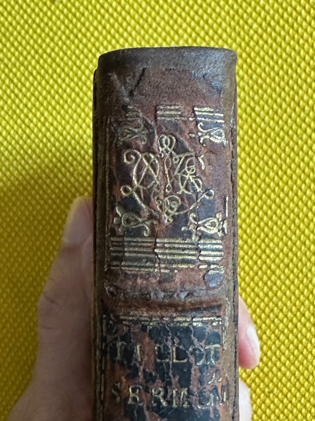 Sermons Preach'd Upon Several Occasions