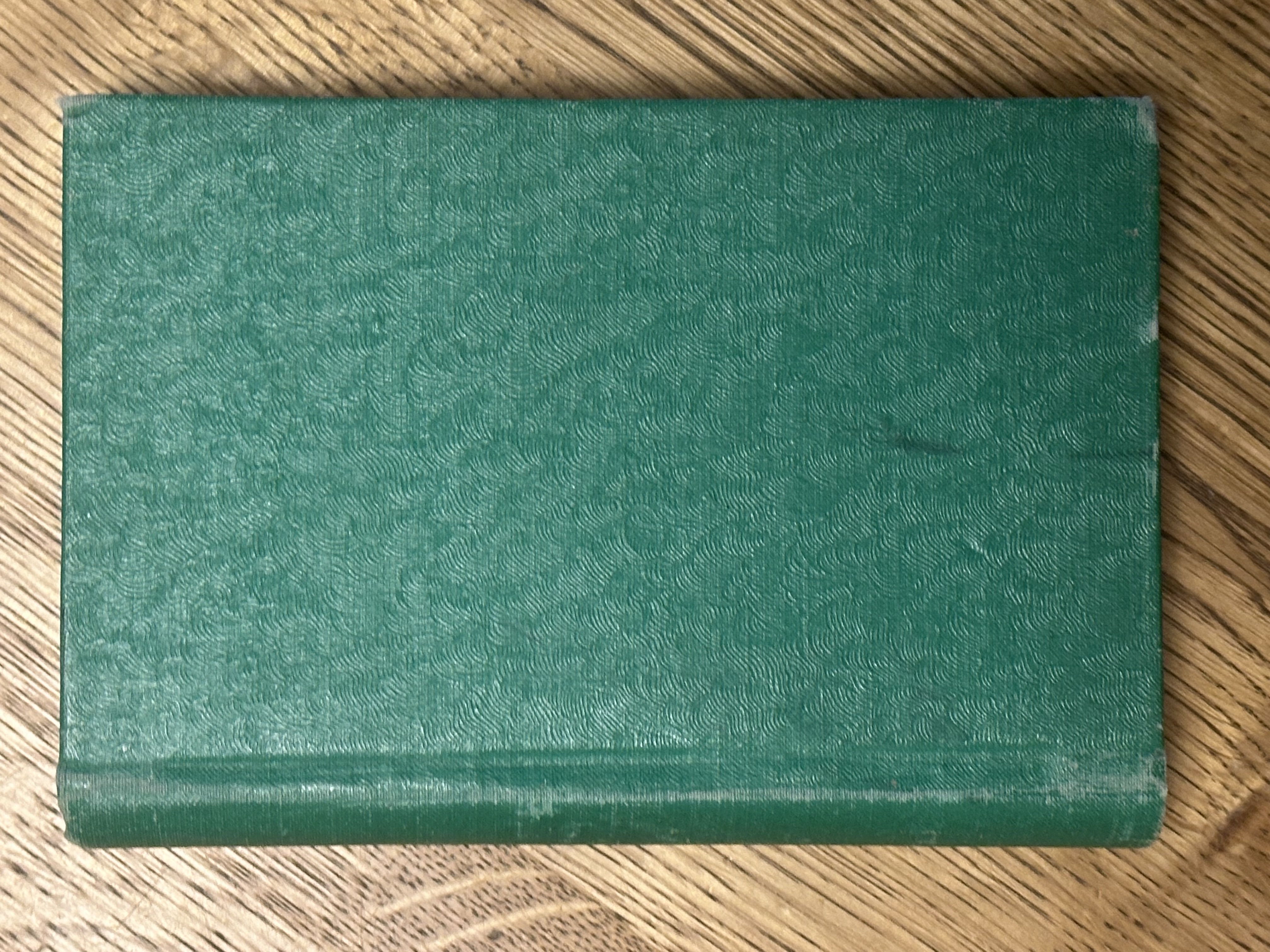 Przewodnik. Wilno i koleje Żelazne z Wilna do Petersburga i Rygi, oraz do granic na Kowno i Warszawę.