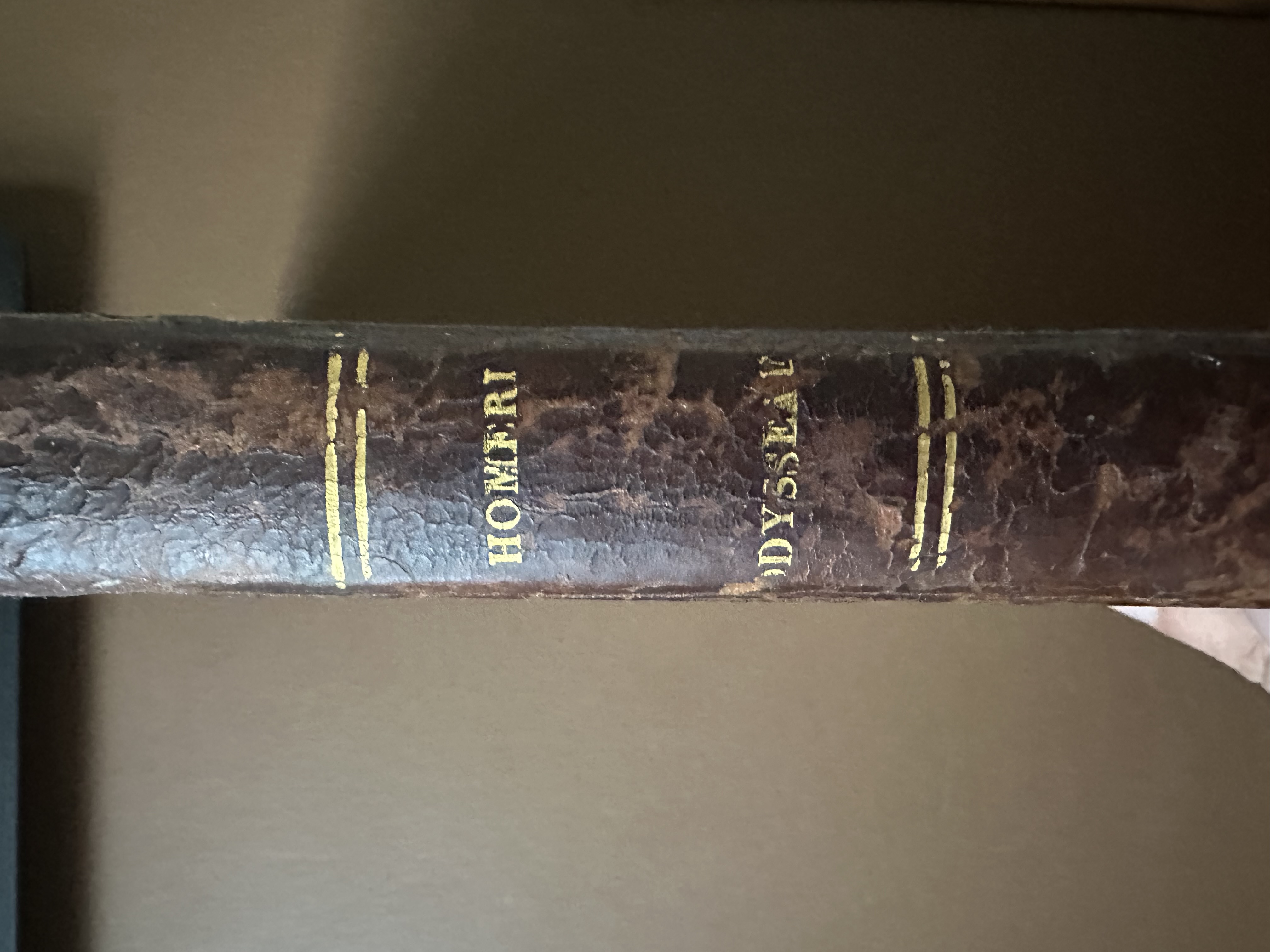 Homeri Odyssae Rhapsodiae Sex