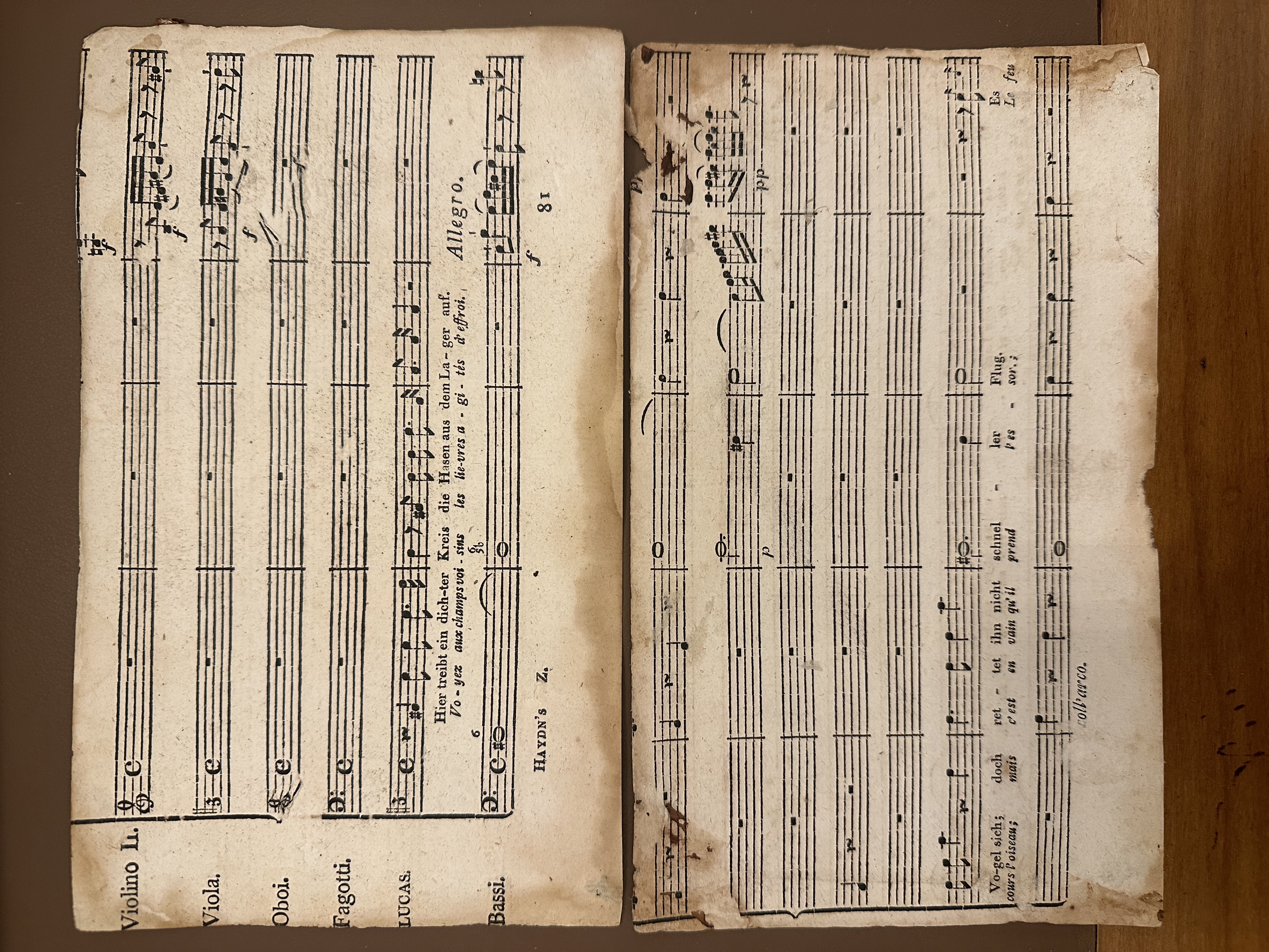 Homeri Odyssae Rhapsodiae Sex