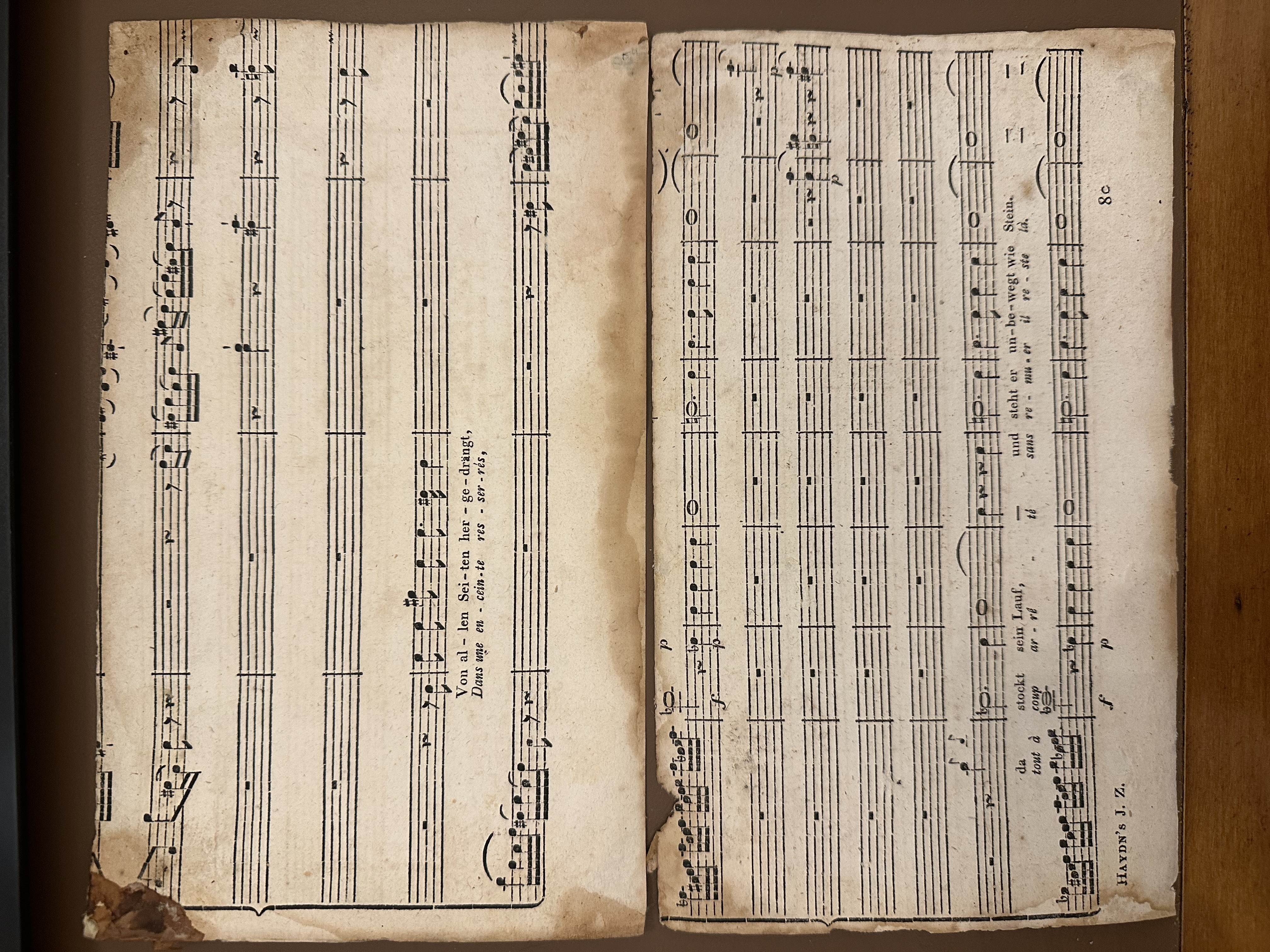 Homeri Odyssae Rhapsodiae Sex